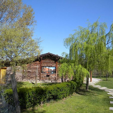 Cascina Beneficio Castelnuovo Bormida Exterior foto