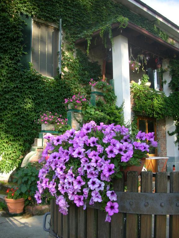 Cascina Beneficio Castelnuovo Bormida Exterior foto